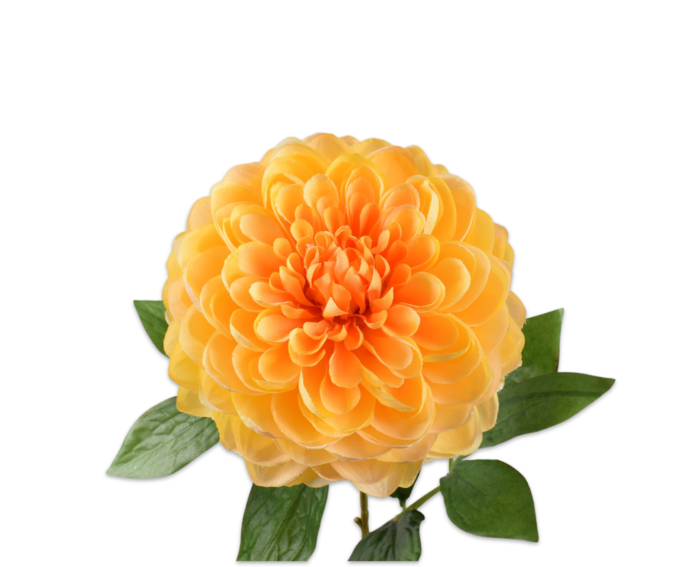 Dahlia steel geel 62 cm - Afbeelding 2
