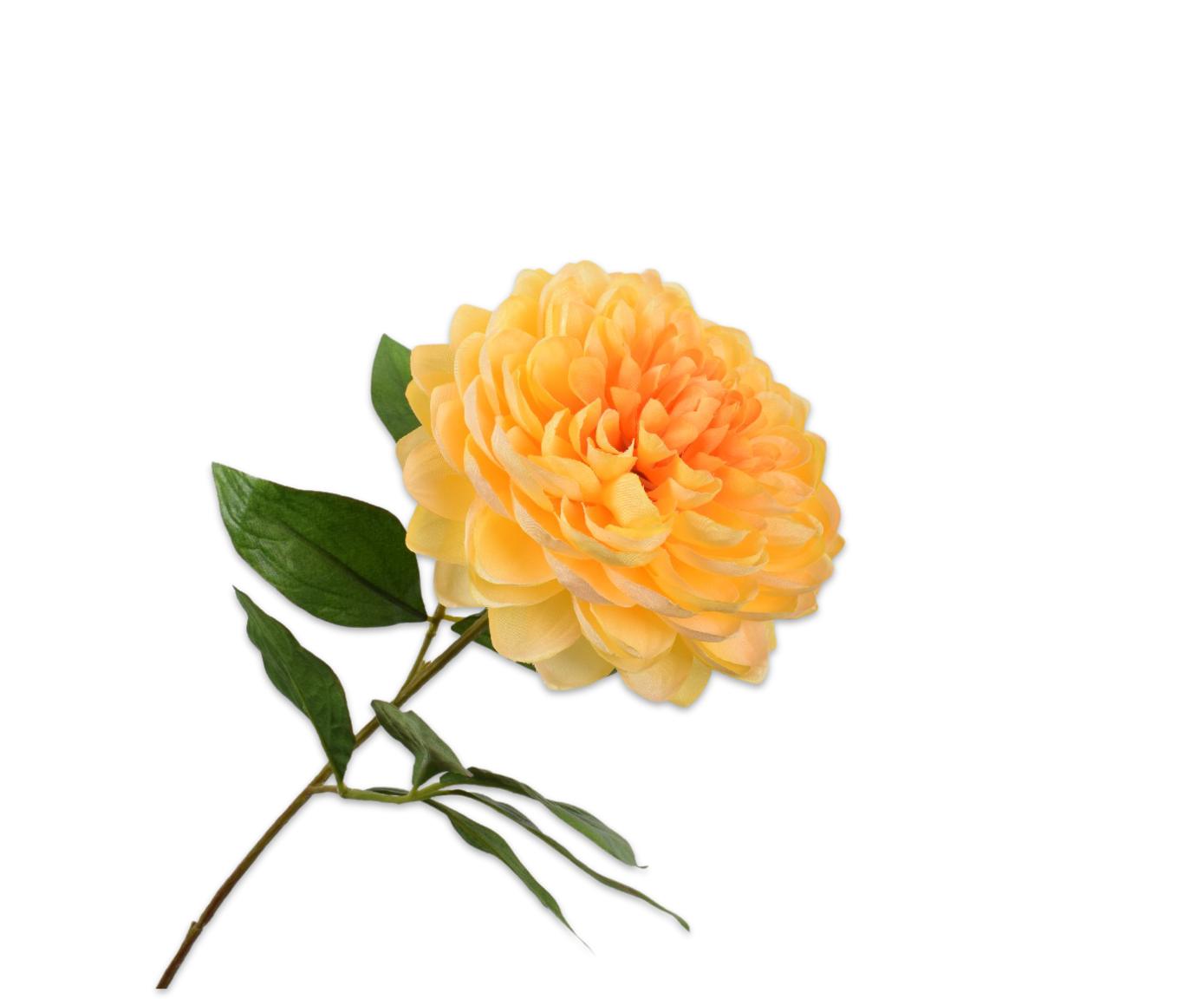 Dahlia steel geel 62 cm