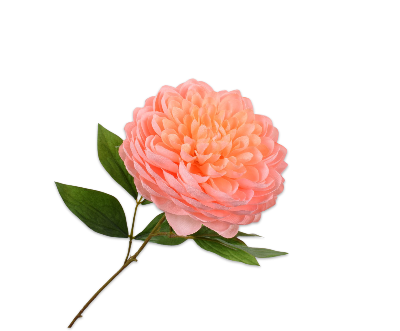 Dahlia steel perzik 62 cm