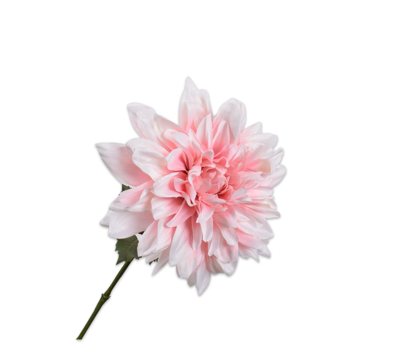 Dahlia steel roze 73 cm