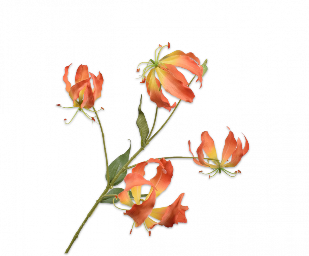 Gloriosa tak geel oranje 86cm