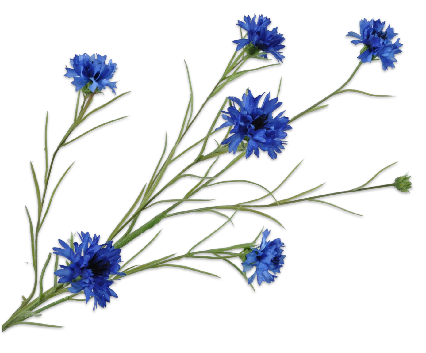 Korenbloem tak blauw 92cm