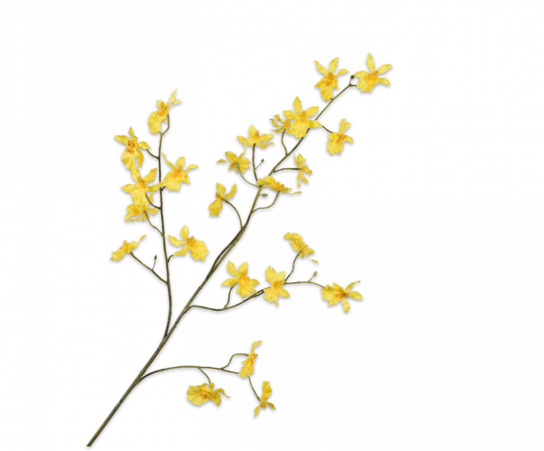 Orchidee tak geel 100cm