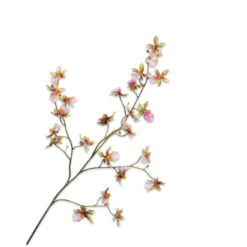 Orchidee tak groen roze 100cm