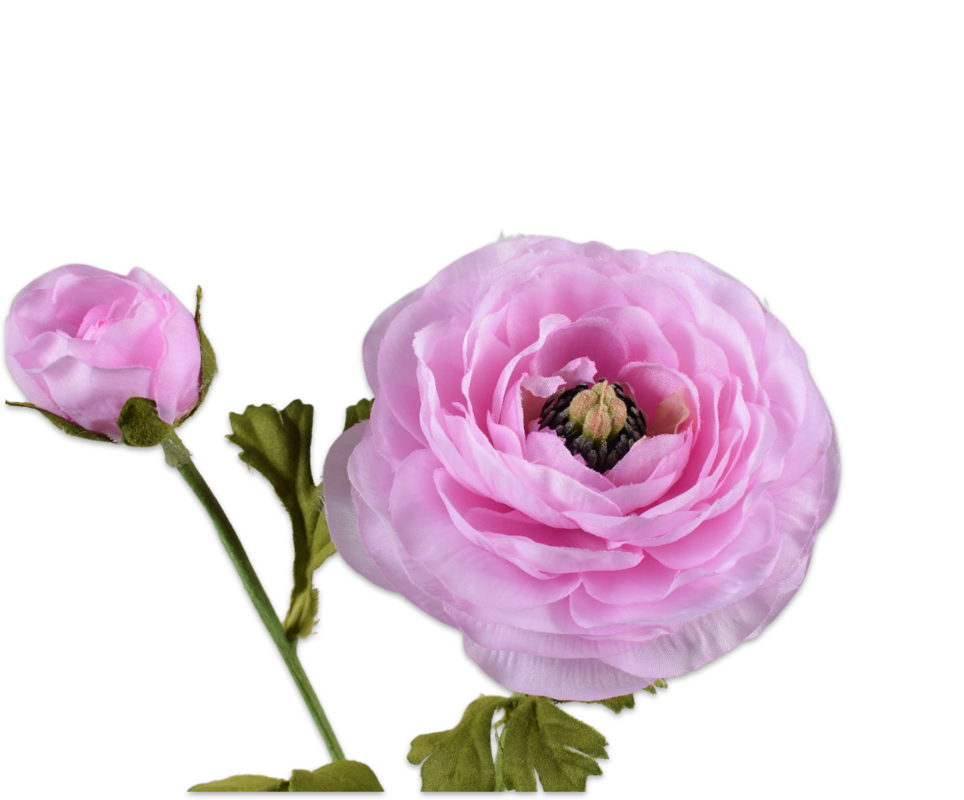 Ranonkel steel roze 63 cm - Afbeelding 2